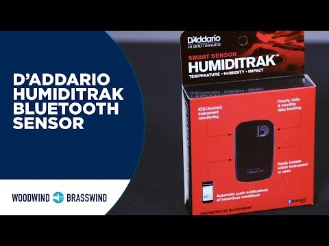 D'Addario Planet Waves