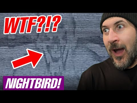 NIGHTBIRD! WHAT WAS THIS??? THERAPIST KIDNAPPED! LATEST QR CODE MYSTERY EXPLORED! WWE News