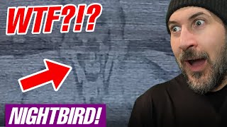 NIGHTBIRD! WHAT WAS THIS??? THERAPIST KIDNAPPED! LATEST QR CODE MYSTERY EXPLORED! WWE News