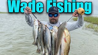 Wade Fishing Galveston Bay for Big Trout and Redfish!