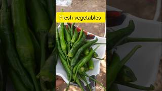 my kitchen garden #fresh vegetables  #healthy vegetables