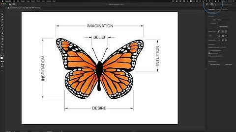 Illustrator Workspace | Intro