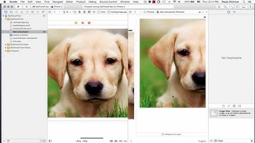 Learn iOS App Development w Swift for FREE - Build your first iPhone App in 45 Mins