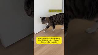 Cuối cùng tôi cũng đã thấy Đại ca làm rồi hahaha. Tôi chờ ngày này mãi rồi đó hahaha