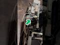Epson L805 Repair