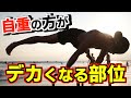 自重トレーニングとジムのウエイトトレーニングの違い！自分に合った筋トレの選び方