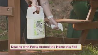 Dealing with Pests Around the Home this Fall | September 25 | Day to Day with Mariah Beware Of Fall Pests Too