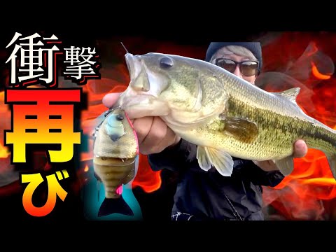バスルアー　まとめ売り☆11個☆早い者勝ち☆激安☆バス釣り引退☆人気☆ルアー色々 ☆早い者勝ち☆バス釣り引退 バスルアーまとめ売り バス釣り
