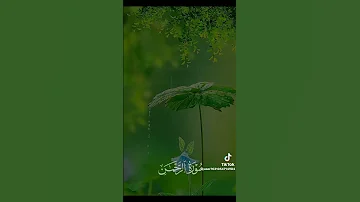 الشيخ سعود الفايز في سوره الرحمن 