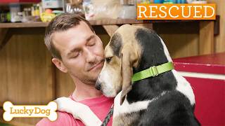 Lucky Dog Marathon | 10 Full Episodes | Season 6