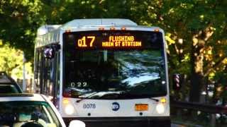 MTA New York City Bus & MTA Bus : 164th St & Horace Harding Expwy [ Queens Division Q17, Q65 & Q88 ]