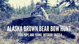 Brown Bear Hunting in Alaska - Bow Hunt P\&Y Grizzly Bear