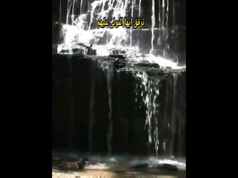 قصيدة قصيره مدح العفو الحلم ترفق ايها المولى أداء ابي همام فهد ابن محمد مثنى