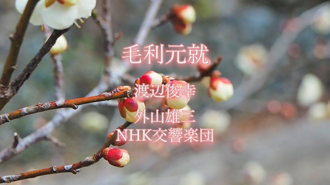 NHK大河ドラマ】(1997年) 毛利元就,渡辺俊幸,外山雄三,NHK交響楽団