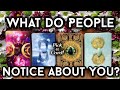 What Do People Notice About You? 👀 PICK A CARD! 😳 Timeless Tarot 🔭 What Are Their First Impressions?