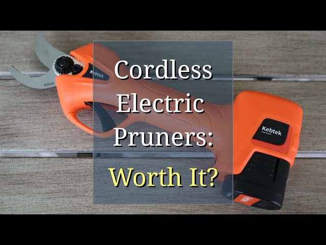 BLACK+DECKER Cordless Bypass Pruner (BD1168): Review - Gardening