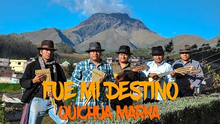 Video thumbnail of "Quichua Marka - FUE MI DESTINO (Saya)"