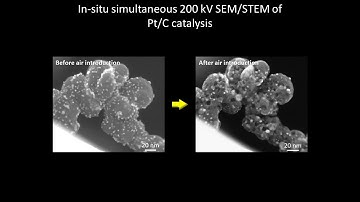 [Materials] In-situ simultaneous 200 kV SEM/STEM of Pt/C catalysis