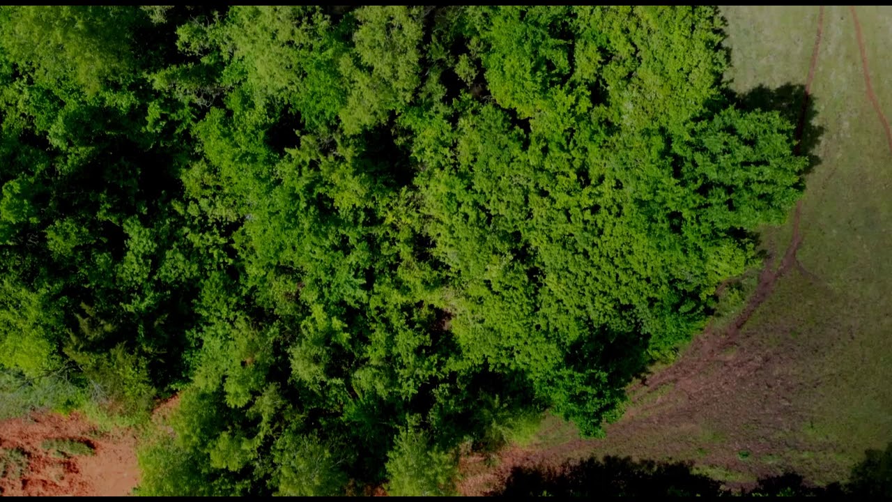 Adkins Farm