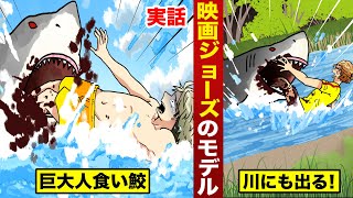 【実話】人間を連日食った...巨大ホオジロザメ。映画ジョーズのモデル。