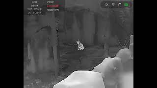 Using Hikvision DS-2TS36 handheld bi-spectrum multi-function thermal imaging binoculars - Thermal screenshot 4