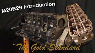 'The Gold Standard' 2.9 Stroker M20 Build (Introduction)