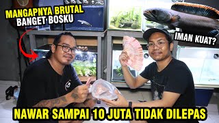 LIMBATA MANGAP 10 JUTA! NAWAR DI LOKASI GAK DILEPAS PEMILIKNYA