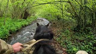 River Bliss: Serene Horseback Escapes!