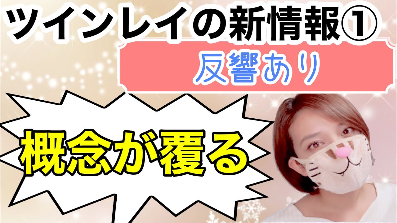 【削除の可能性あり①】サイレント期間の新常識【高次元情報】ツインレイプログラムの仕組み