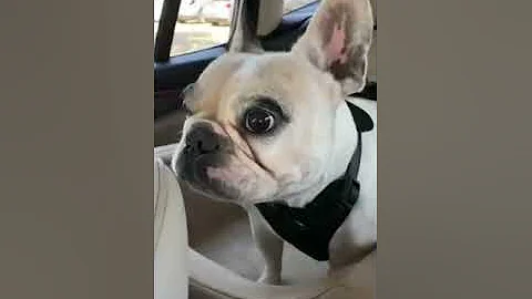 Walter Breaks His All-Time Meltdown Record!!