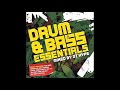 Drum  bass essentials 2005 disc 1  dj hype