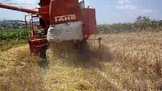 Moisson d'orge 2008