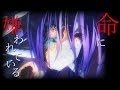 シュヴィドーラ Youtube