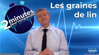 Les graines de lin - 2 minutes pour comprendre