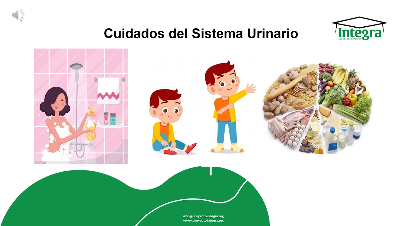 Cuidados del Sistema Urinario - YouTube