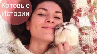 Случайно записанное видео про кошку. Случайно записанное видео про кошку.