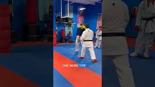 Ura Mawashi Geri en sortie ! Stage Karate à New York 🥋 #uramawashigeri #karate #kumite