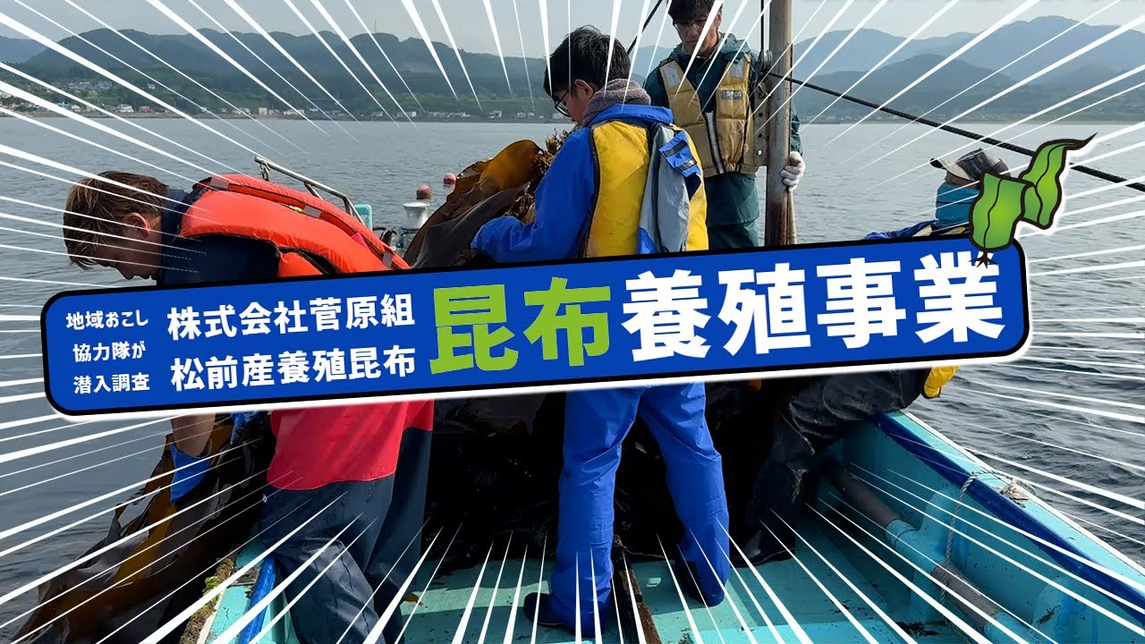 【北海道】松前町で行われる菅原組の昆布養殖事業へ密着【養殖コンブ】