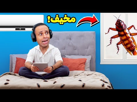 صراصير مرعبة هجمت على غرفتي    