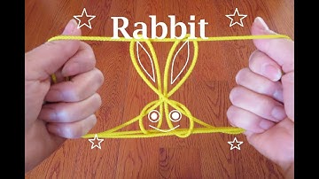 ((Level: Medium)) Rabbit *Cat