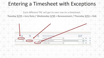 Entering a Timesheet with Exceptions