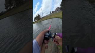 I Didnt Expect This At The End