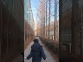 앞산 나무보며 걷기,대구여행 2502 #앞산 #daegu #dailyvlog