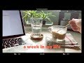 a week in my life ◇ Michelle Choi | The Seoul Search