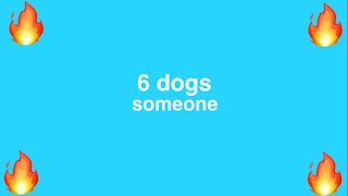 6dogs - someone