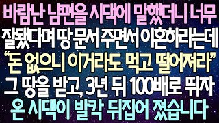 | 사연쌀롱 반전 사연: 바람난 남편을 시댁에 말했더니 너무 잘됐다며 땅 문서를 주면서 이혼하라고 하더군요. 그 땅을 받고, 3년 뒤에 그 가치가 100배로 뛰자 온 시댁이 발칵