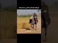 اكسبلور اللي تقول انتظر فارس أحلامي هذا هو جااك ضحك فله وناسه طقطقه مقاطع مضحكه اكسبلور 