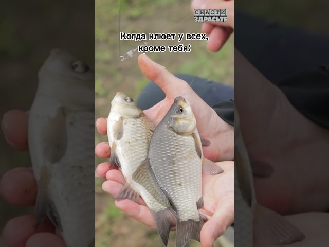 Вопиющая несправедливость Согласны?) #снастиздрасьте