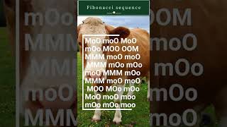 3 Most Bizarre Programming Languages Ever Created