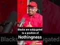 Dali Mpofu | black people are subjugated to a position of nothingness #africa #southafrica